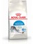 Indoor Yetişkin Kedi Maması - 2 kg 1