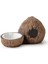 Exo Terra Ex Coconut Saklanma Alanı - Su Kabı Nrmsa 1