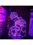 3D LED Illusion Lamba Sato Mafuyu Uenoyama Ritsuka Anime 3D Gece Işıkları Oyuncaklar Dekorasyon LED Figma Masa Lambası Dokunmatik Sensör Aydınlatma 7 Renkli Dokunmatik Pxjd (Yurt Dışından) 1