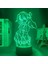 3D LED Lamba Anime Lise Dxd Xenovia Quarta Yatak Odası Için Dekoratif Gece Lambası Doğum Günü Hediyesi Akrilik LED Gece Lambası (Yurt Dışından) 1