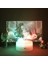 Genshin Darbe Hu Tao 3D LED Anime Figürü Yatak Odası Için Lamba Manga Eylem Gece Işıkları Komidin Şarj Edilebilir Uyku Panelleri (Yurt Dışından) 4
