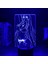 LED Gece Lambası Anime Akame Ga Kill 3D Lamba 3D Uzaktan Kumanda Masa Lambası Dokunmatik Sensör Gece Lambası (Yurt Dışından) 1