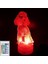3D Köpek Gece Lambası LED Lamba Illusion 16 Renk Değiştiren Masa Masa Dekorasyon Lambaları Doğum Günü Hediyesi Akrilik Taban USB Kablosu Oyuncak (Yurt Dışından) 1