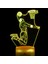 3D Basketbol Oyuncusu Gece Işığı Lambası Illusion Gece Işığı 16 Renk Değiştirme Masa Masası Dekorasyon Lambaları Akrilik Düz Abs Tabanlı USB Kablosu Oyuncakla Hediye (Yurt Dışından) 2