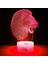 3D Aslan Gece Lambası Masa Danışma Optik Illusion Lambaları 7 Renk Değiştirme Işıkları LED Masa Lambası Noel Ev Aşk Doğum Günü Çocuk Çocuk Dekor Oyuncak Hediye (Yurt Dışından) 4