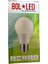 LED Ampul 12 Volt 10 Watt Bolled 1