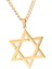 Yahudi Kolye Yıldızı Paslanmaz Çelik Zinciri 23ınç Punk Çiftler Aureate (Yurt Dışından) 1