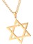 Yahudi Kolye Yıldızı Paslanmaz Çelik Zinciri 23ınç Punk Çiftler Aureate (Yurt Dışından) 2
