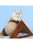 Kedi Çizik Topu Etkileşimli Oyuncak Kapalı Kedi Oyuncak, Kedi Çizik Tahtası L (Yurt Dışından) 5