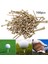 Golf Tees 70mm (Yurt Dışından) 3