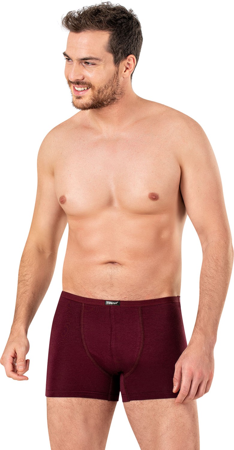 Özkan Underwear Özkan 11897 Erkek Pamuklu Modal Boxer Şort