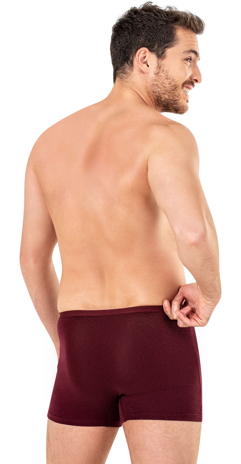 Özkan Underwear Özkan 11897 Erkek Pamuklu Modal Boxer Şort görsel 2