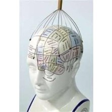 KFC Home Kafa Masaj Aleti Bk 88