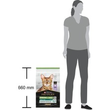 Proplan Renal Plus Hindili Kısır Kedi Maması 10 kg