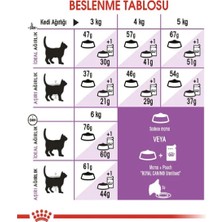 Royal Canin Sterilised 37 Kisirlaştirilmiş Kedi Mamasi 4 kg