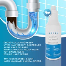 Carpex 1 Lt Enzimatik ve Evcil Hayvan Kötü Koku Giderici Enzimatik Sprey 500 ml Set