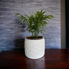 Miss Lina Misslina Dekoratif Yuvarlak Yonca Desen Saksı Obje Boyanabilir