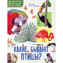 Мышонок Тим Не Хочет Убираться - Anna Casalis
