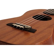 Kna Ukulele Için Manyetik Uk-1