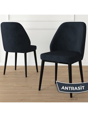 Canisa Concept Tura Serisi 4 Adet Mutfak Sandalyesi Metal Siyah Ayaklı 1. Sınıf Babyface Kumaş