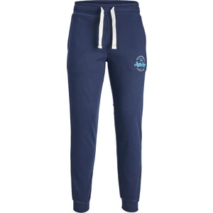 Jack & Jones Büyük Beden Lastikli Paça Lacivert Erkek Eşofman Altı 12236953