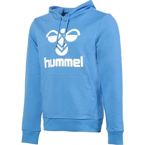 Arus Erkek Mavi Kapüşonlu Sweatshirt