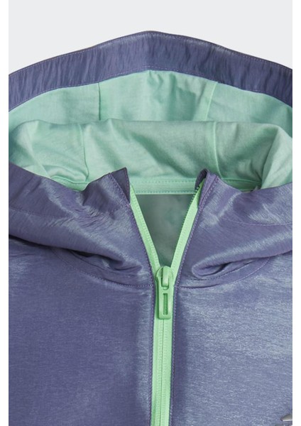 HR5811 G D Wv Hd Kız Çocuk Sweatshirt fiyatları