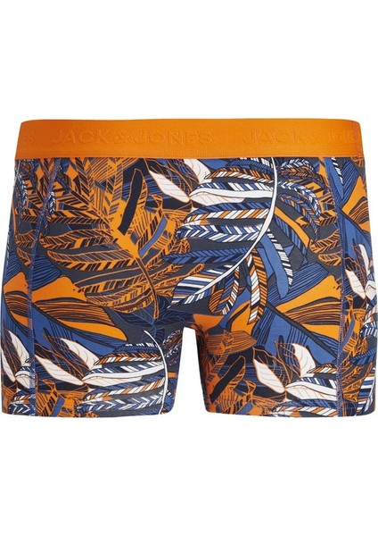 Turuncu-Mavi Erkek Boxer 12249960