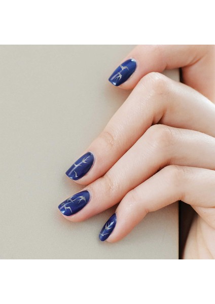 2' Li Kuşlar Tırnak Dövmesi, Tırnak Sticker, Nail Tattoo, Nail Art fiyatları