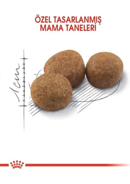 Sterilised 37 Kisirlaştirilmiş Kedi Mamasi 4 kg