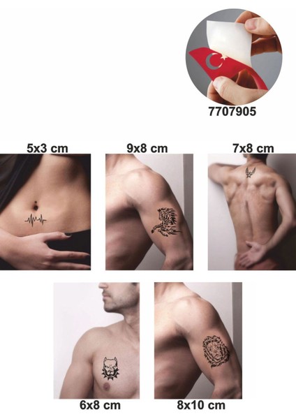 Vahşi Hayvan Desenleri Hint Kınası ile Geçici Dövme Yapma Seti