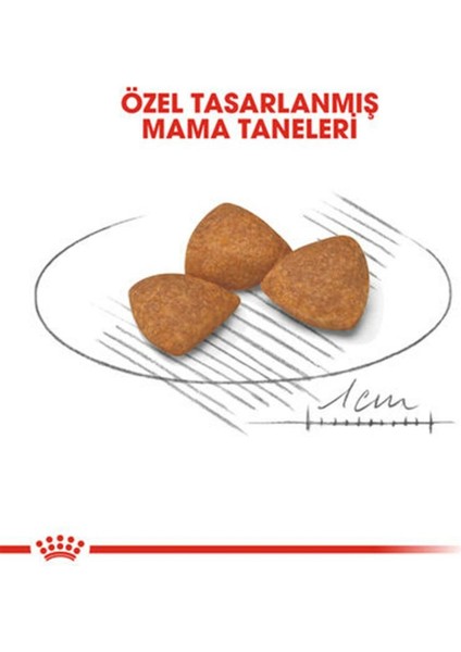 Xsmall Ageing +12 1.5 Kg. modelleri