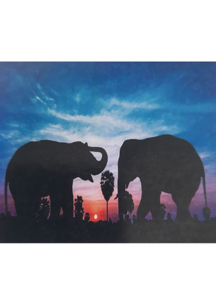 5d Elmas Taş Işleme Kiti 40X50 cm Filler Desen