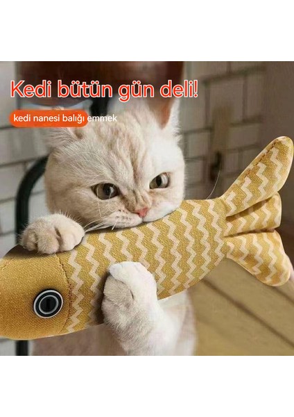Kedi Oyuncağı Kendi Kendini Iyileştiren Keten Evcil Hayvan Oyuncağı (Yurt Dışından) fiyatları
