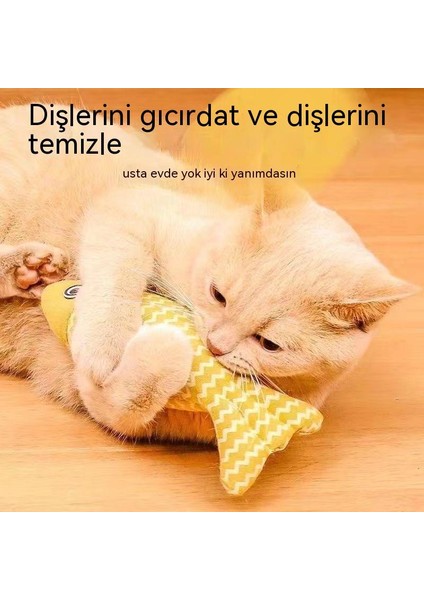 Kedi Oyuncağı Kendi Kendini Iyileştiren Keten Evcil Hayvan Oyuncağı (Yurt Dışından) indirimleri