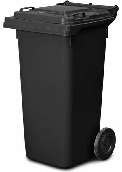 Konteyner 120 Lt Renkli