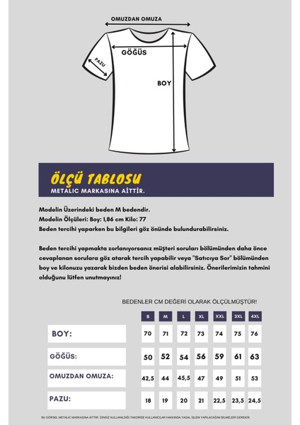 Metalıc Erkek Çok Renkli T- Shirt Regular Fit Rahat Kesim Bisiklet Yaka Basic Tişört
