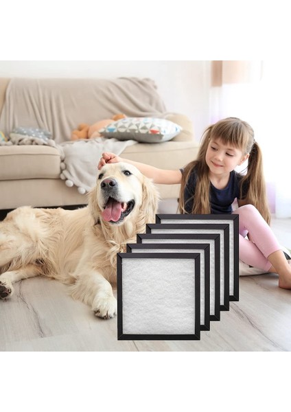 Holmes HAP116Z HAPF115 Hava Temizleyici Için Yedek Hepa Filtre (Yurt Dışından)
