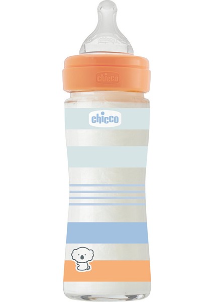 Wellbeing Yavaş Akış Mavi Cam Biberon 240 ml 0+ Ay