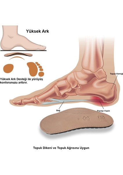 Active Team - Ortopedik Topuk Dikeni ve İçe Basma Önleyici Tabanlık, Kemer Destekli Hakiki Deri Yarım Taban