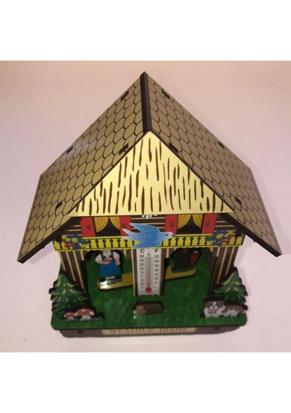 Higrometre Sıcaklık Ölçer Dış Mekanda Yenilik Duvarı Monte Termometre (Yurt Dışından)