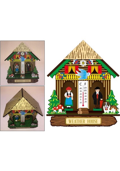 Higrometre Sıcaklık Ölçer Dış Mekanda Yenilik Duvarı Monte Termometre (Yurt Dışından)