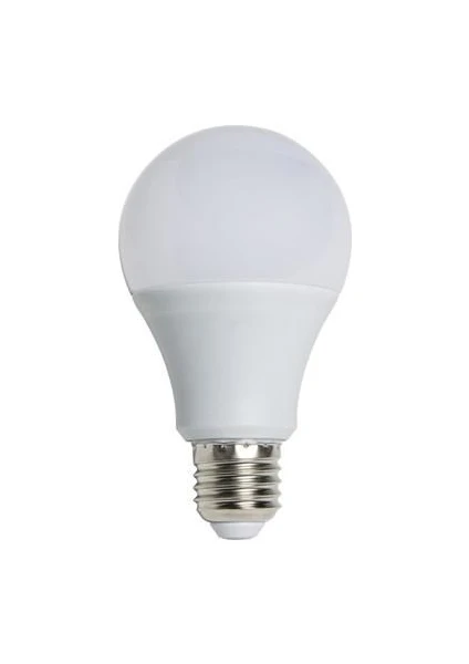 CT-4266 12 Watt LED Ampul Günışığı