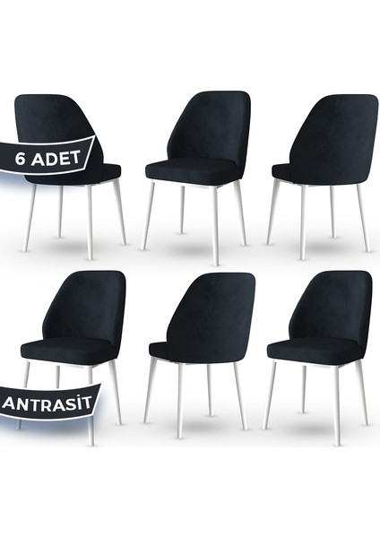 Concept Tura Serisi 6 Adet Mutfak Sandalyesi Metal Beyaz Ayaklı 1. Sınıf Babyface Kumaş