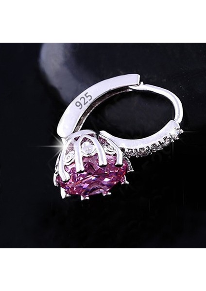 Micro-Inserts Zircon Earrings (Red) (Yurt Dışından) modelleri