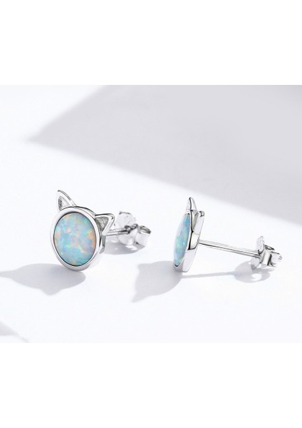 Gümüş Küper (Silver) (Yurt Dışından) modelleri