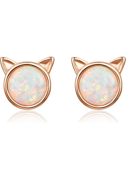 Gümüş Küper (Rose Gold) (Yurt Dışından)