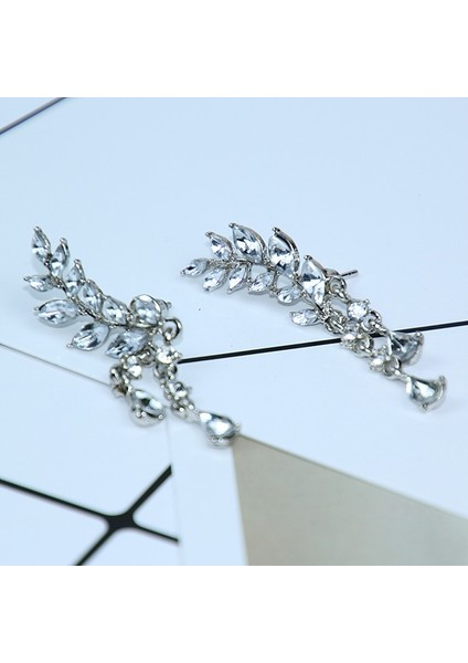 Kadın Püskül Kanat Tarzı Bırak Küpe Moda Kübik Takı (Silver Color) (Yurt Dışından) modelleri