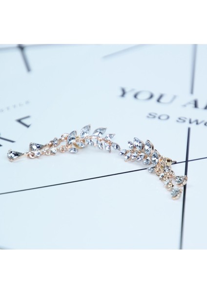 Kadın Püskül Kanat Tarzı Bırak Küpe Moda Kübik Takı (Golden Color) (Yurt Dışından) modelleri