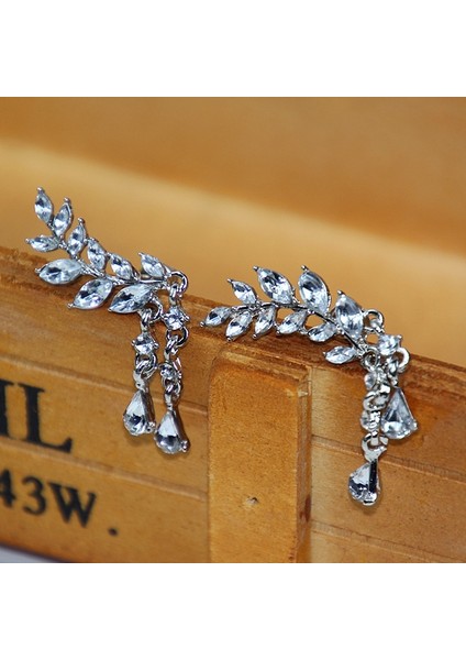 Kadın Püskül Kanat Tarzı Bırak Küpe Moda Kübik Takı (Golden Color) (Yurt Dışından) indirimleri